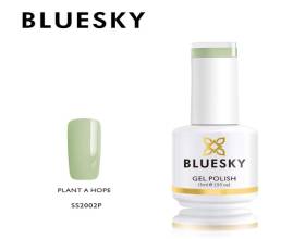 Bluesky Plant A Hope